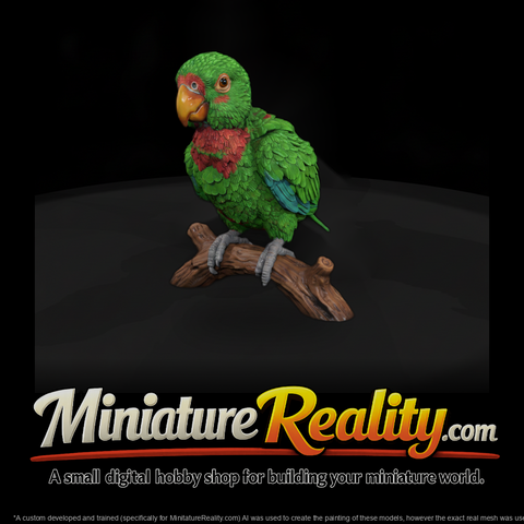 Eclectus Parrot on Branch Perch