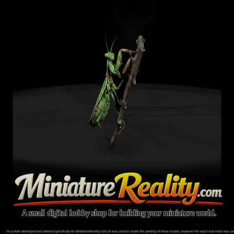 praying-mantis-miniature-diorama-accent-431483