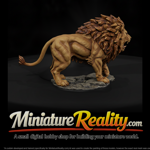 Roaring Male Lion on Rocks