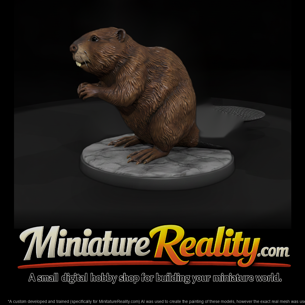 Ant 188 Beaver Female