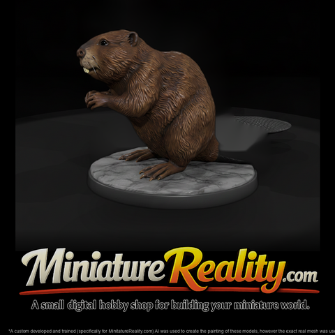 Ant 188 Beaver Female