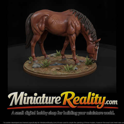 Ww 0290 Animal Grazing Mare
