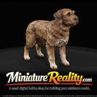 hunting-dog — thumbnail 3