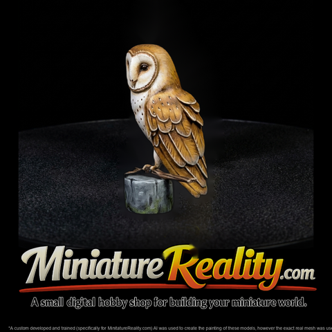 Stylized Barn Owl — Perched