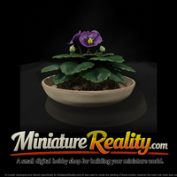 Potted African Violet miniature, three-quarter view — thumbnail 2