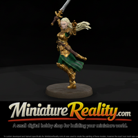 Elf Blademaster in Gilded Armor — thumbnail 1