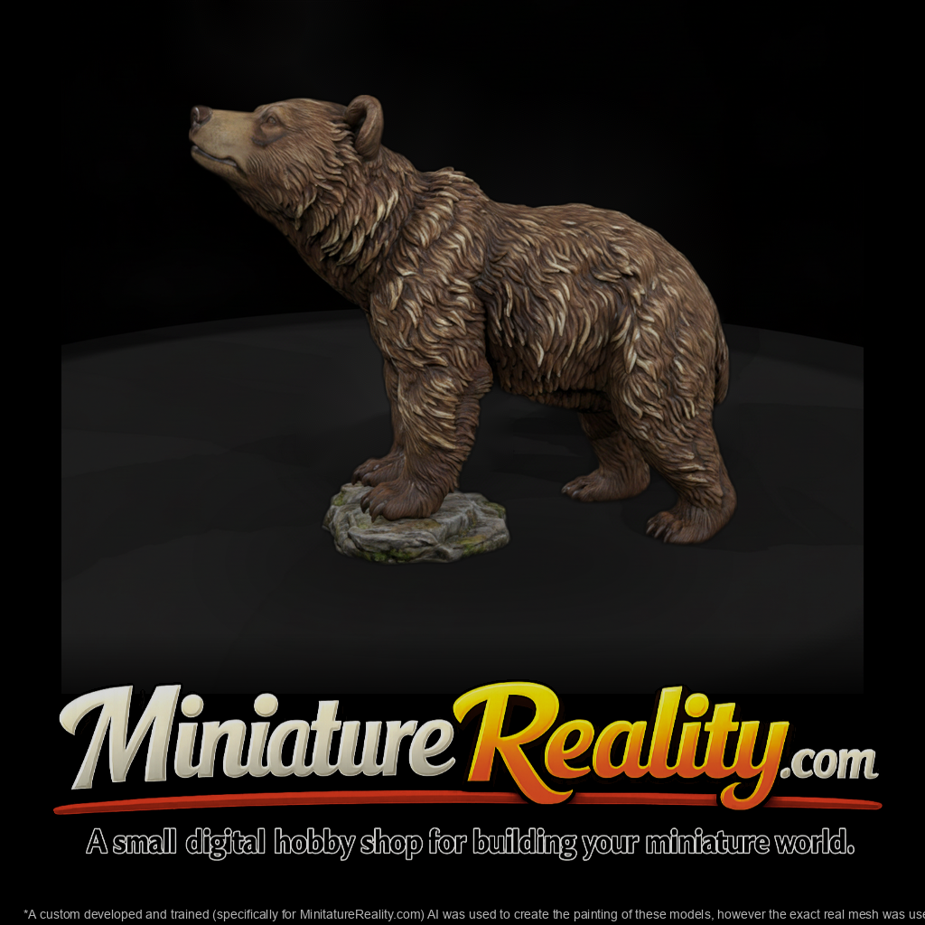 Young Grizzly Bear on Rocky Base
