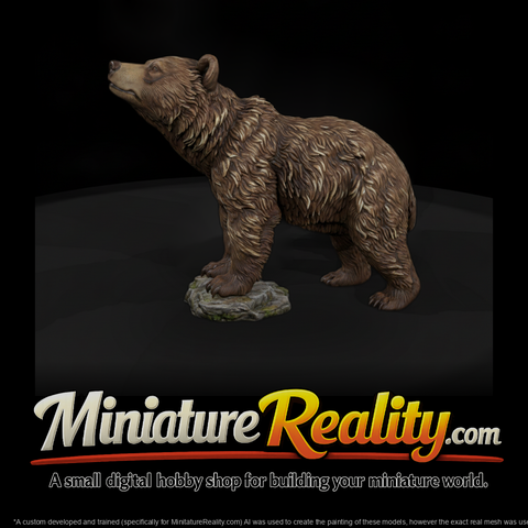 Young Grizzly Bear on Rocky Base
