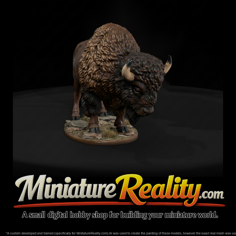 Ww 0314 Animal American Bison
