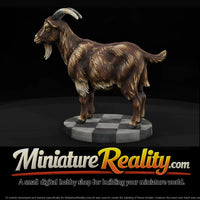 anim-21-goat-4f1e5a — thumbnail 1