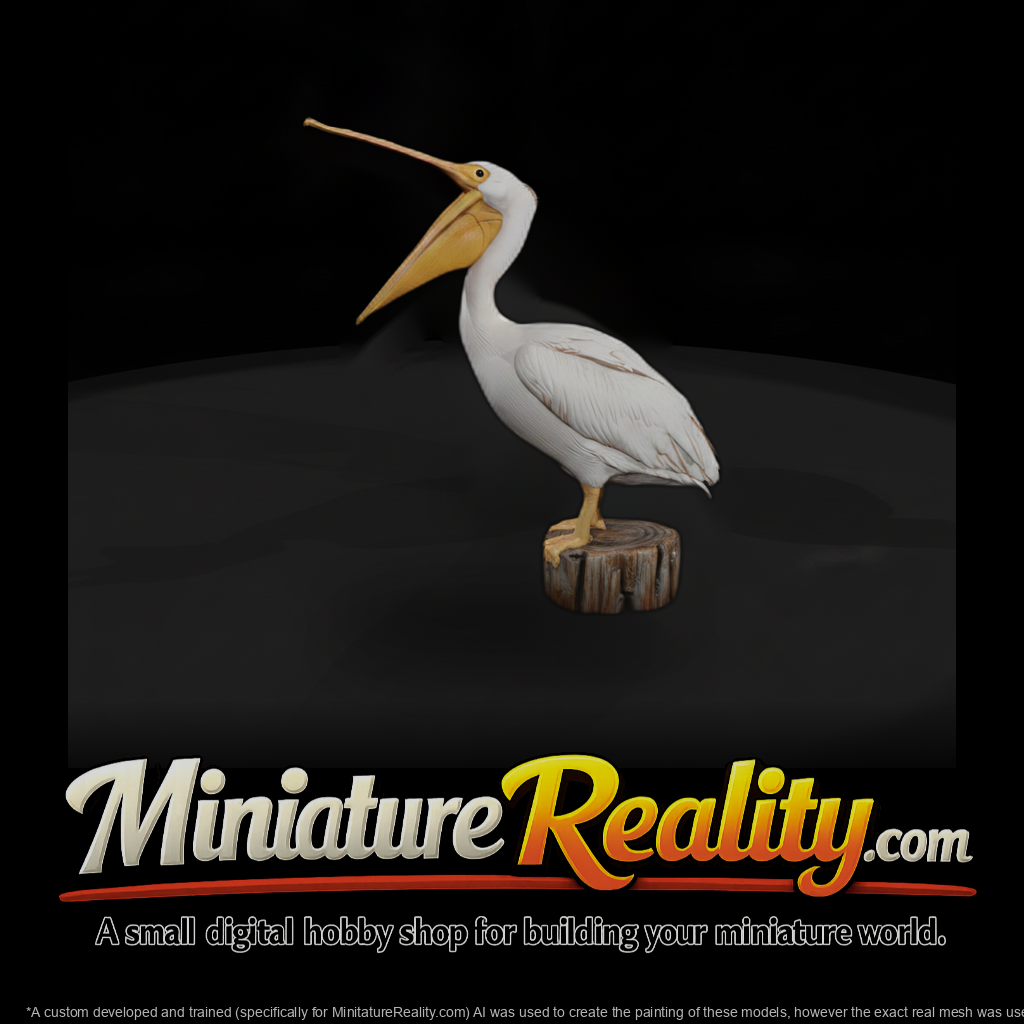 White Pelican with Open Beak