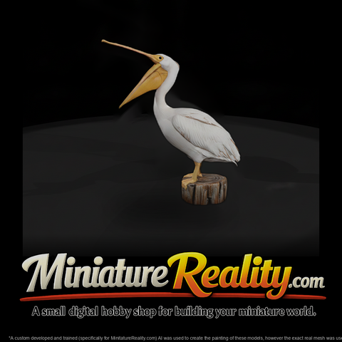 White Pelican with Open Beak