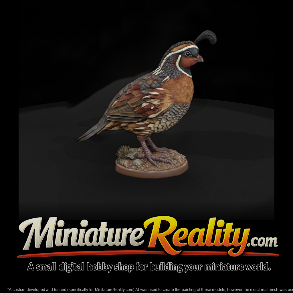 Ww 0349 Animal Gambel S Quail