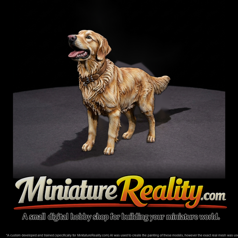 Photorealistic Golden Retriever (High-Poly)