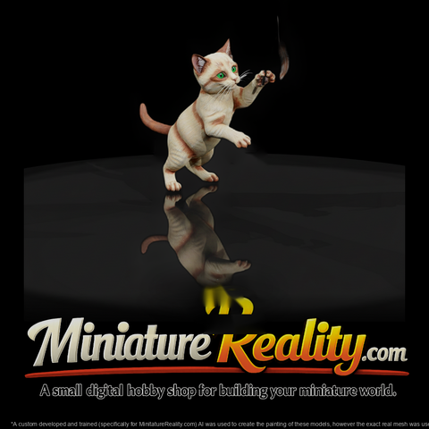 A Collection Of Housecats Playful Ebe86E7A Meshref