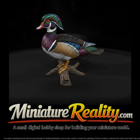 Ant 091 Wood Duck Male