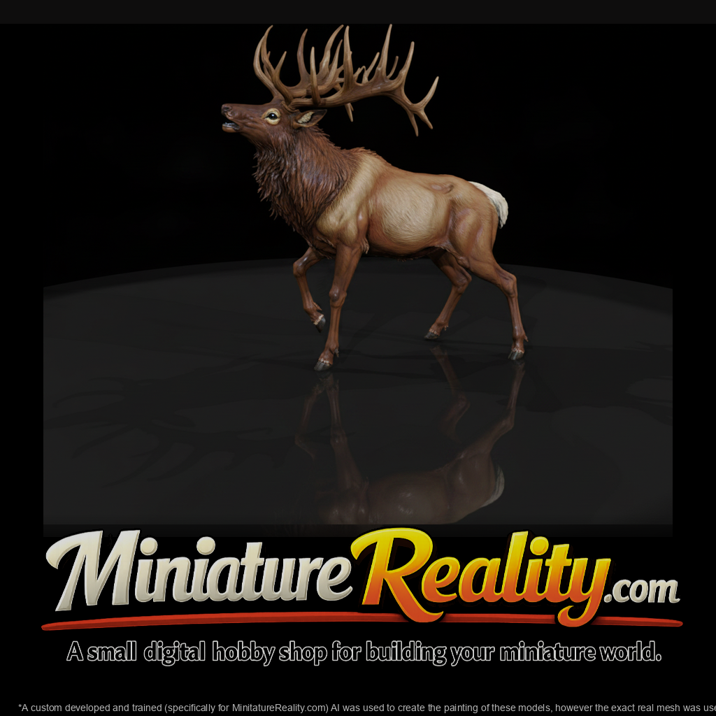 Male Elk