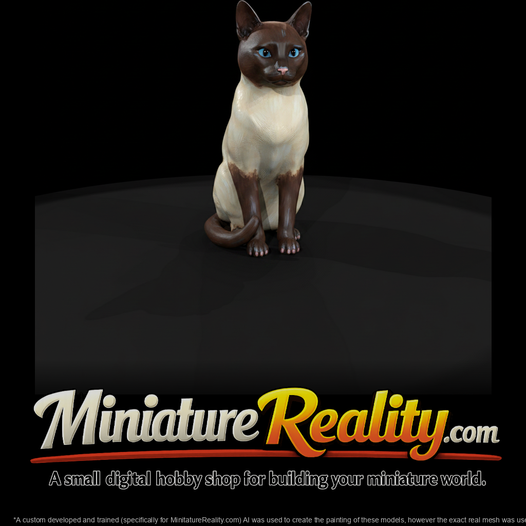 a-collection-of-housecats-snowshoe-bc6d2bb2-meshre