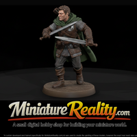 Dual-Sword Human Ranger — thumbnail 1