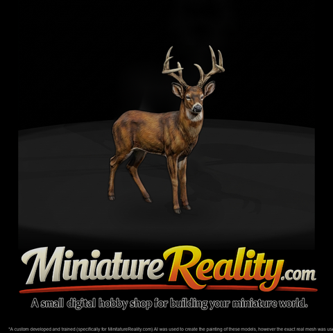 Stag Deer & Model Layouts
