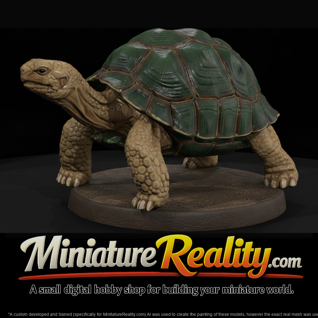 Giant Land Tortoise