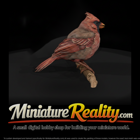Ant 105 Northern Cardinal Adolescent