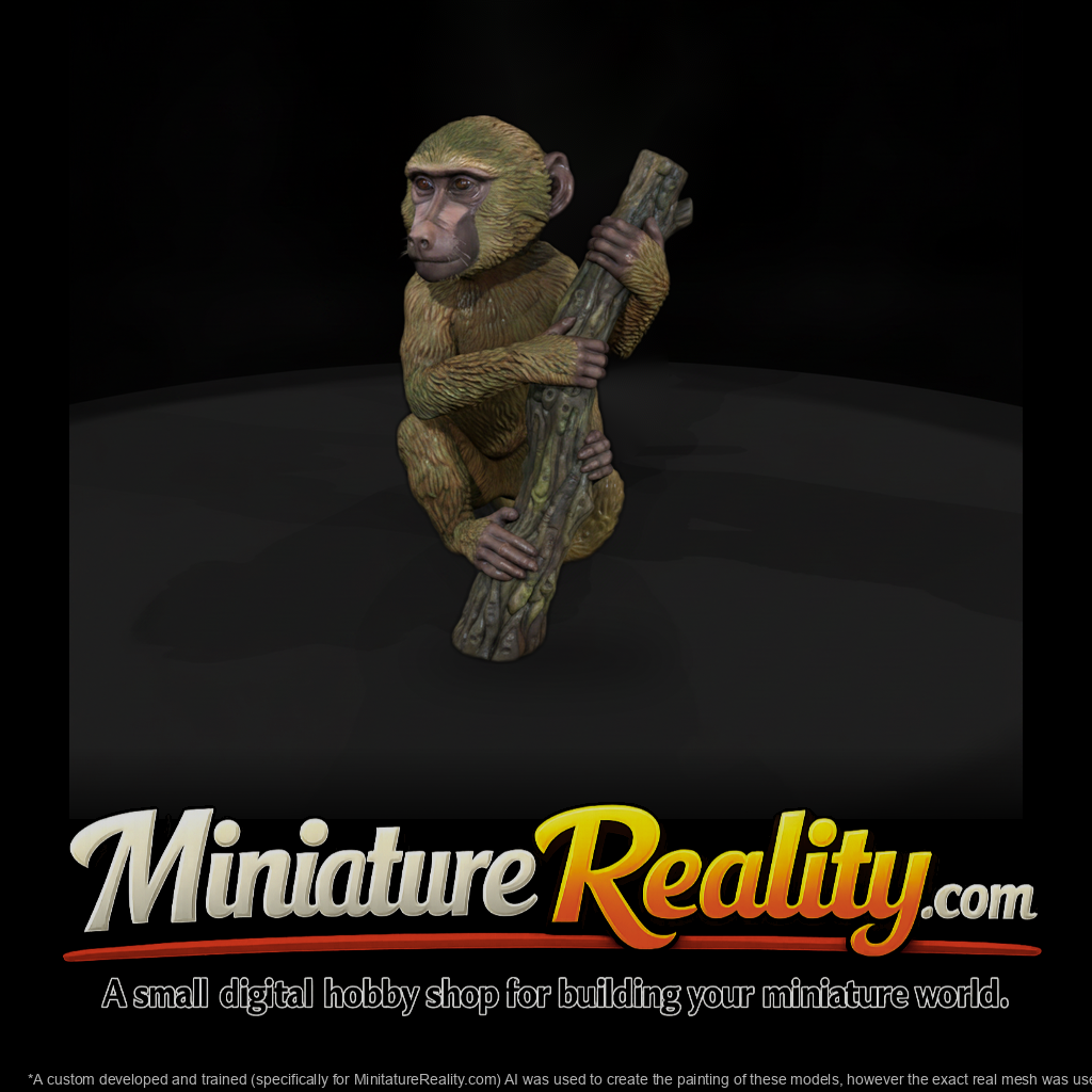 Olive Baboon Adolescent
