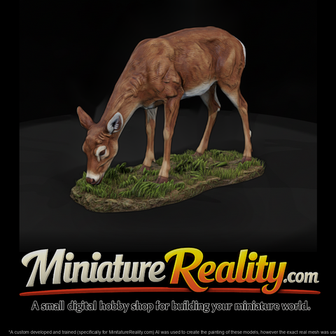 Ant 071 White Tailed Deer Female