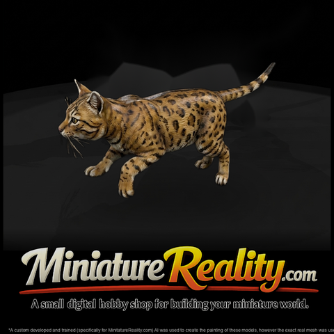 Ocicat Housecat Set