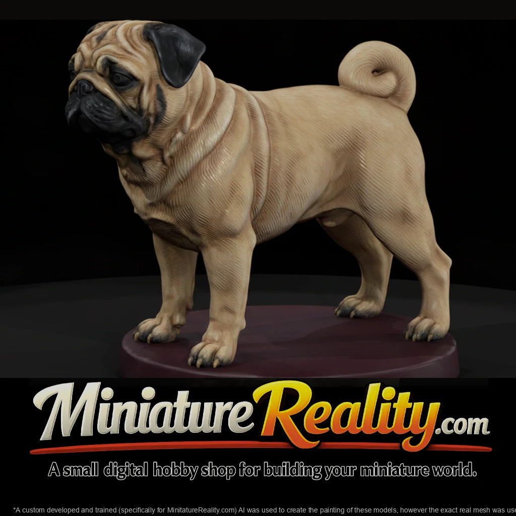 anim-12-pug-640296