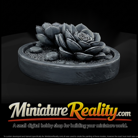 Minimalist Monochrome Succulent Zen Garden