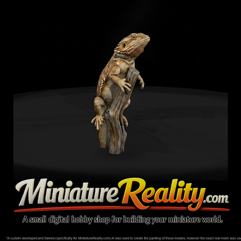 bearded-dragon-diorama-miniature-sculpted-reptile-figure-437989