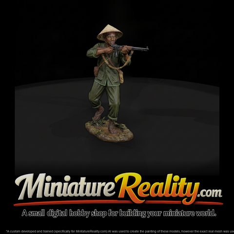 Vnh 073 Viet Cong Village Guerrilla