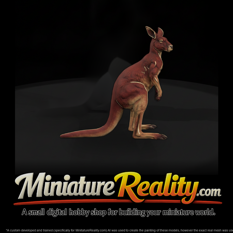 Ant 079 Red Kangaroo Male