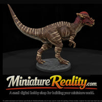 dino-13-pachycephalosaurus-6acab3 — thumbnail 1