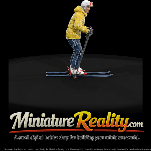 0094-sports-skier-poles