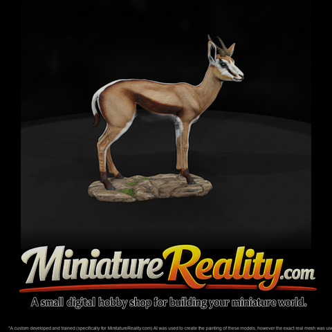 Ant 239 Springbok Female