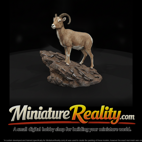 Ant 056 Bighorn Sheep Female