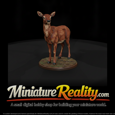 Ant 044 Elk Female