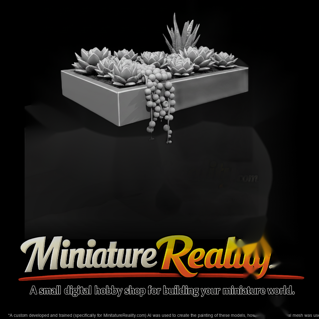 Stylized Monochrome Succulent Garden Planter Phnxh