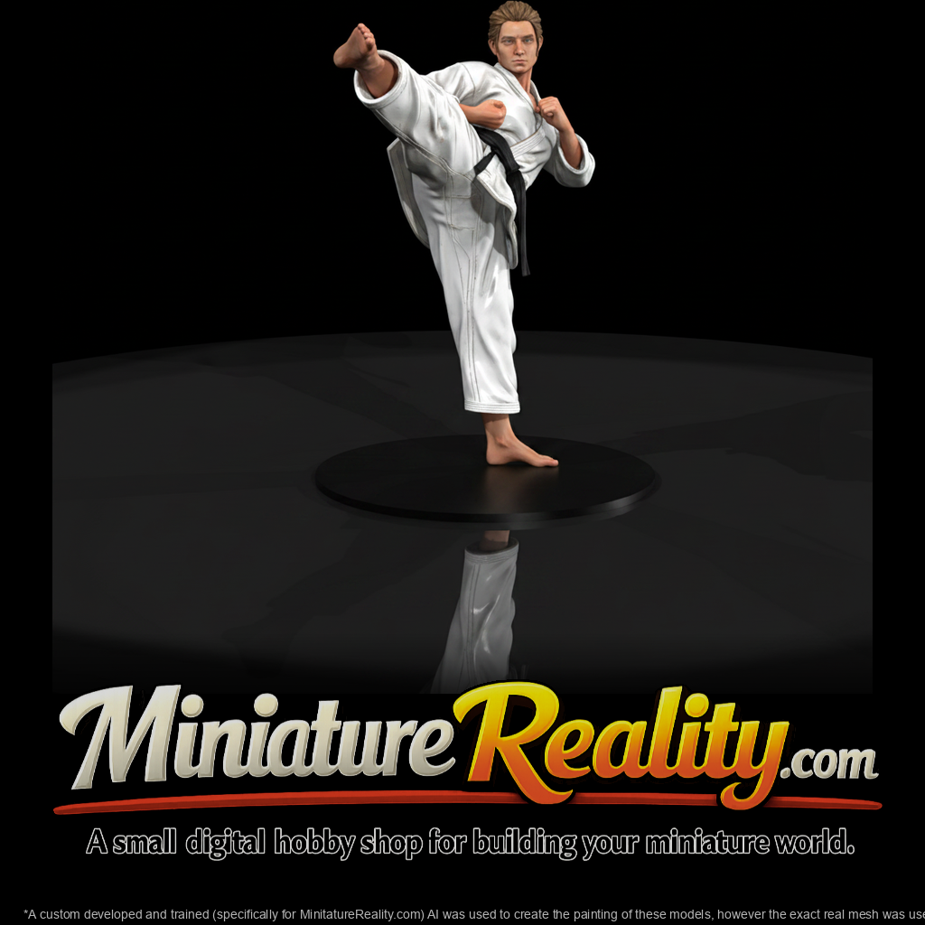 0093-sports-martial-artist-kick