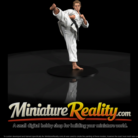 0093-sports-martial-artist-kick