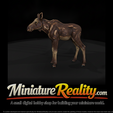 Ant 048 Moose Adolescent