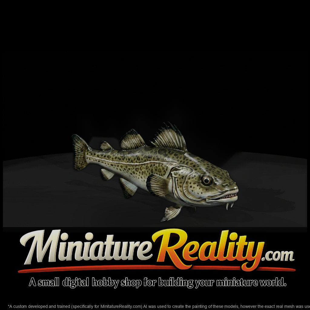 Spotted Cod and Model Layouts, three-quarter view