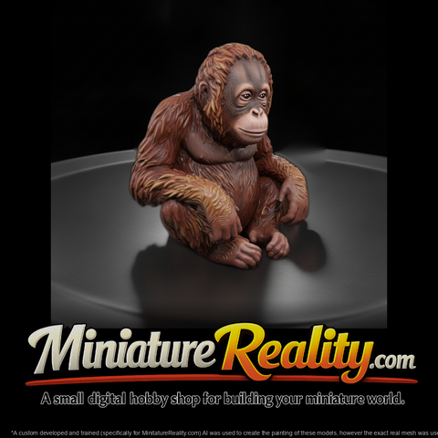 Young Orangutan Sitting