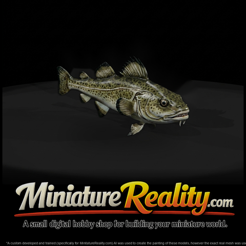 Spotted Cod and Model Layouts