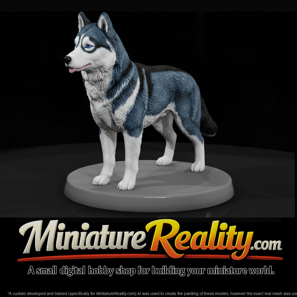 Siberian Husky Standing