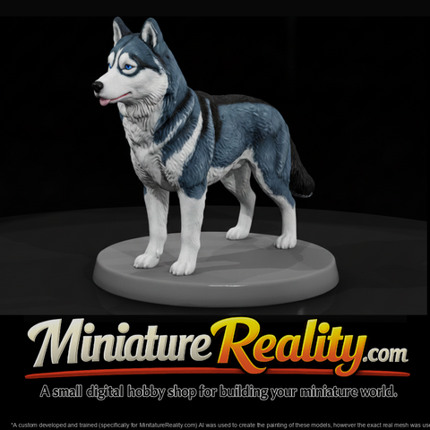 Siberian Husky Standing