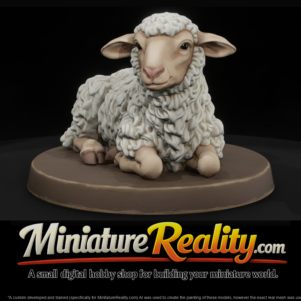 Resting Woolly Sheep