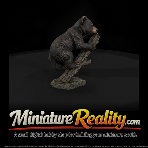 American Black Bear Cub on a Log